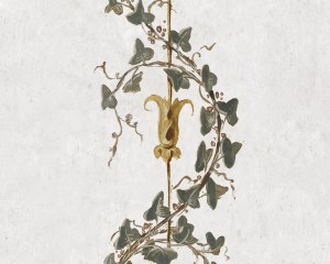 Inner Panel Boudoir - Decorative Panel